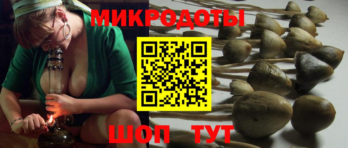 Галлюциногенные грибы мухоморы  где купить наркоту  Балашов  Вход с VPN 