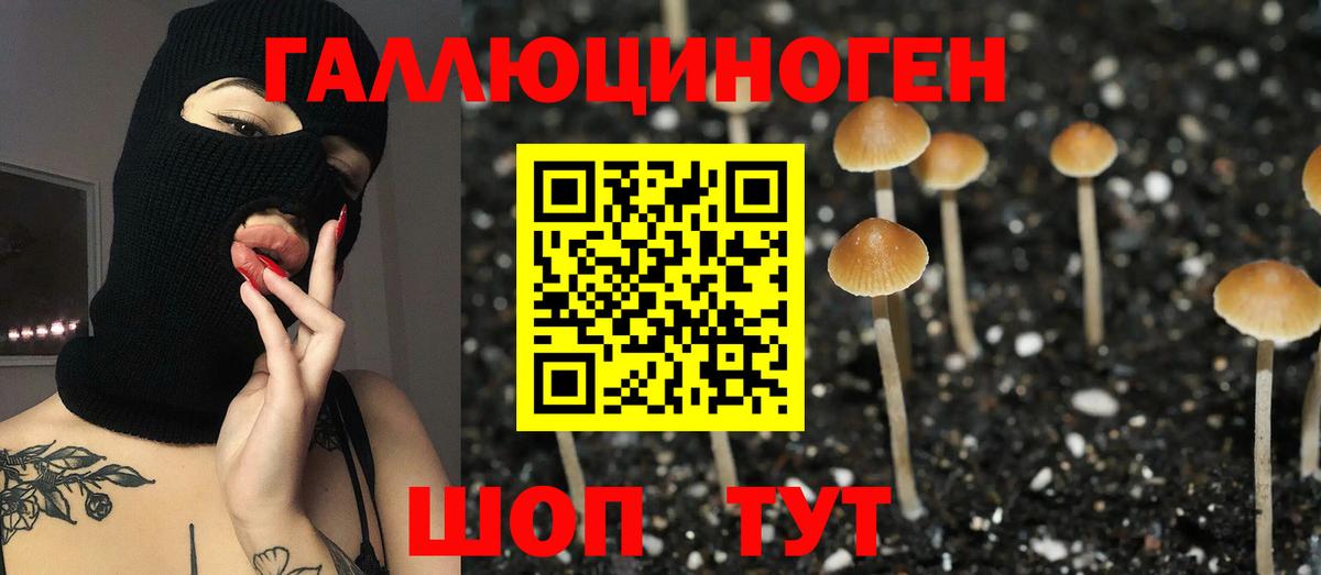 Галлюциногенные грибы Psilocybine cubensis Балашов